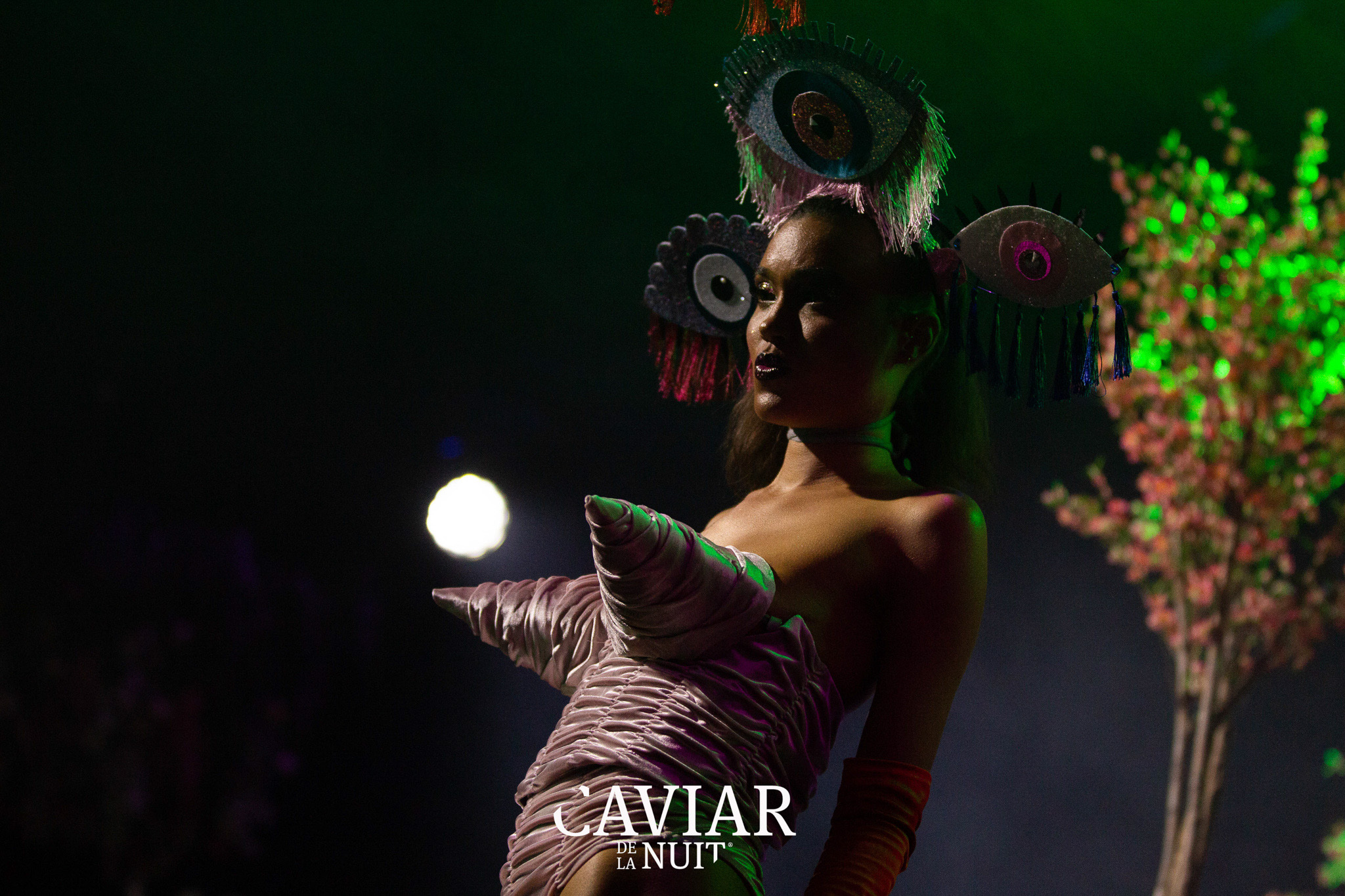 Caviar de la Nuit female sexy dancer boudoir
